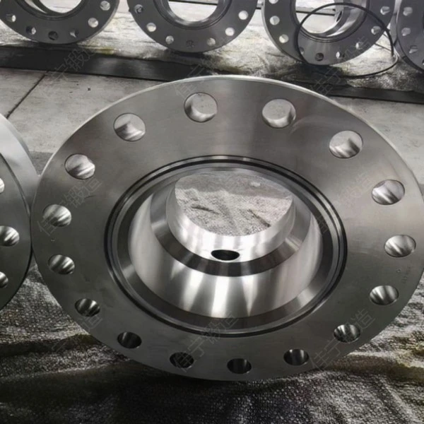 316L带颈法兰片哪里有卖？价格得多少钱？