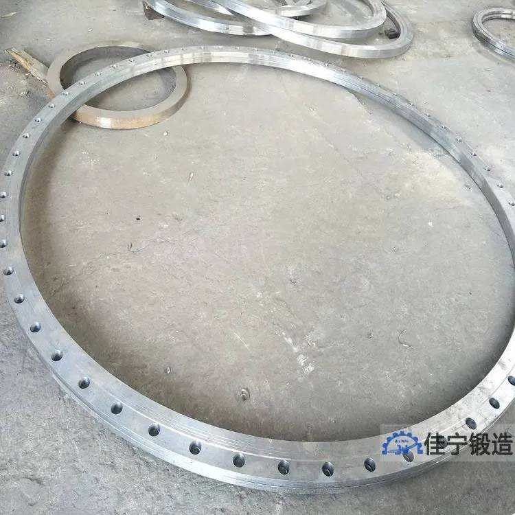 12crmo大型法兰盖