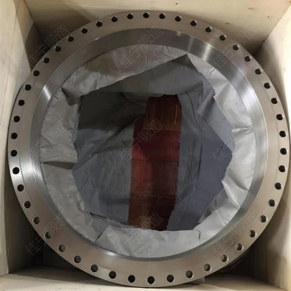 DN1000法兰片主要特点有哪些？