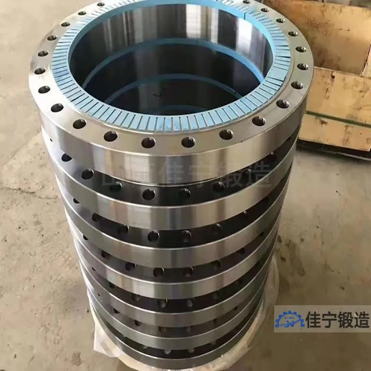 dn450耐腐蚀法兰锻件