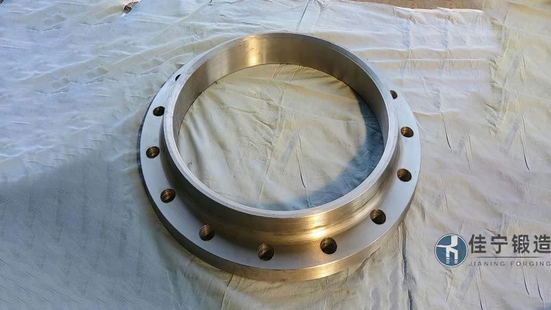2205双相钢带颈法兰加工厂