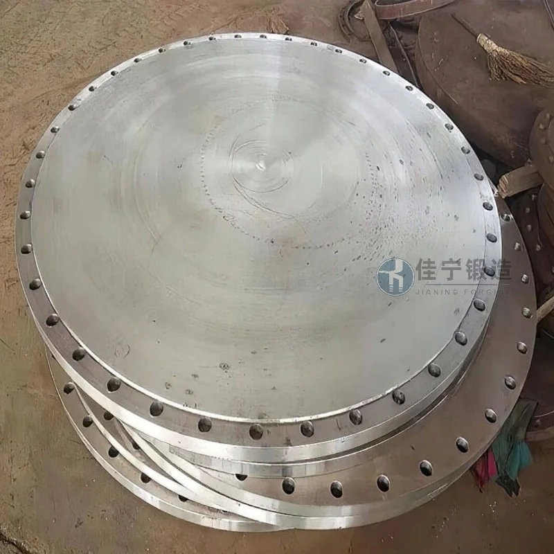 青海玛多重工承压盘饼锻件案例