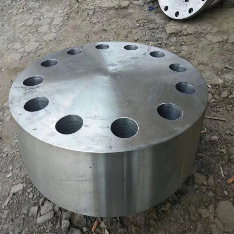 碳钢管板法兰锻件