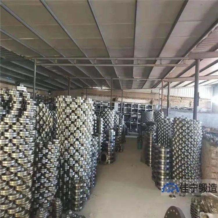 24寸整体法兰盖