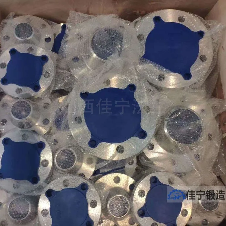 SW6整体法兰
