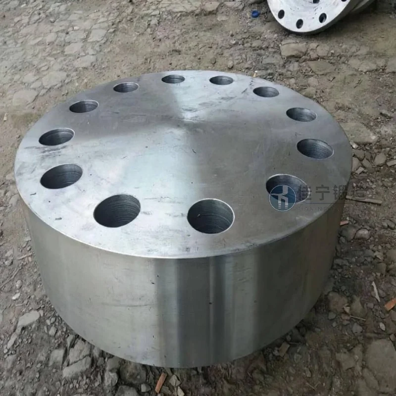碳素钢管板/管板法兰/盲板厂家推荐佳宁锻造