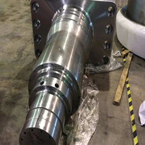 合金模锻件(图5)