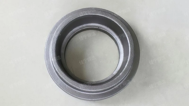 磁性环锻件(图4)